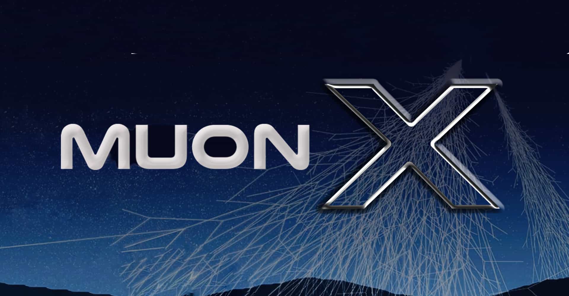 MUON X image